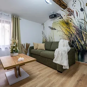 Appartement La Petite Rosee - Vienna Authentica, Vienne (Isere)